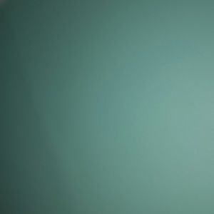 Meet your Posher, Araceli